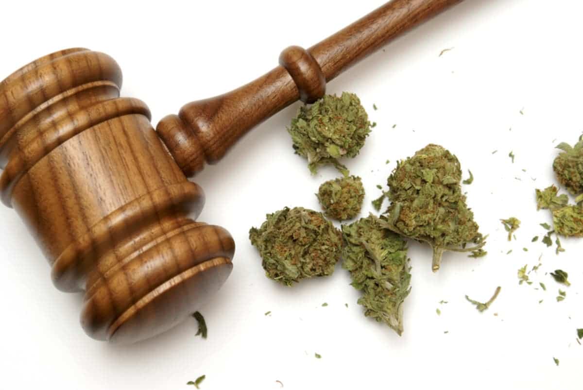 marijuana lawyer delray beach