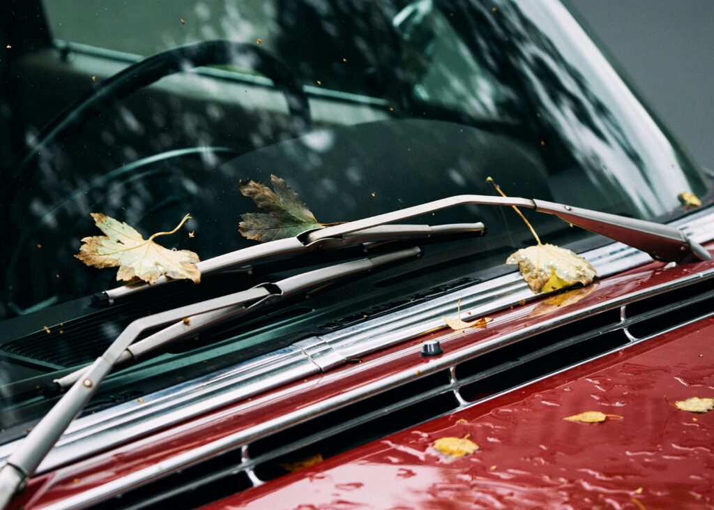 windshield replacement laws
